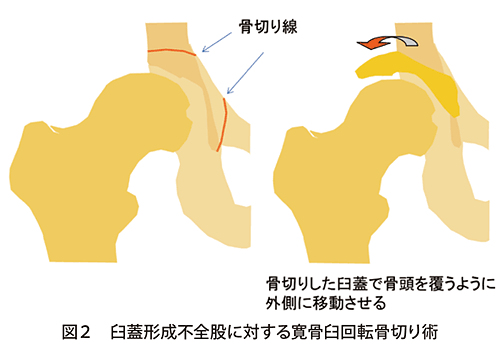 大江戸つくどよろず診療所かわら版 第３１号 東京新宿メディカルセンター 地域医療機能推進機構