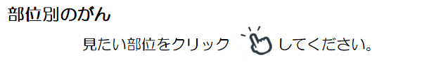 がん登録7