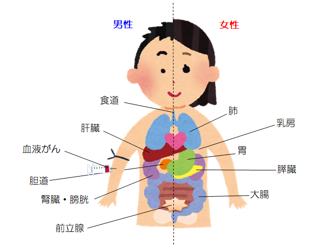 がん登録8